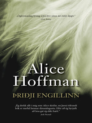 cover image of Þriðji engillinn
